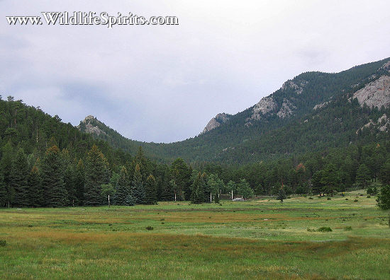 Click Picture to send as an  E-PostCard 65k 550x396